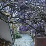 Pilgrims Rest - Nova De Cerveira - - - Al Hostel *
