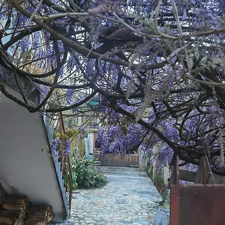 Pilgrims Rest - Nova De Cerveira - - - Al 호스텔 *