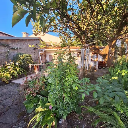 Hostel Pilgrims Rest - Nova De Cerveira - - - Al Vila Nova de Cerveira