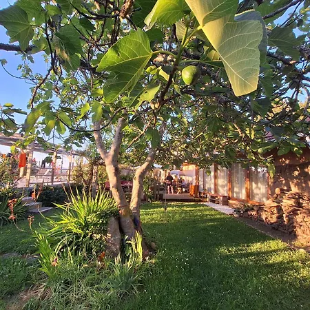 Pilgrims Rest - Nova De Cerveira - - - Al Hostel Vila Nova de Cerveira