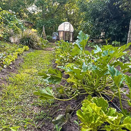 Pilgrims Rest - Nova De Cerveira - - - Al *