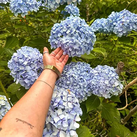 Hostel Pilgrims Rest - Nova De Cerveira - - - Al Vila Nova de Cerveira