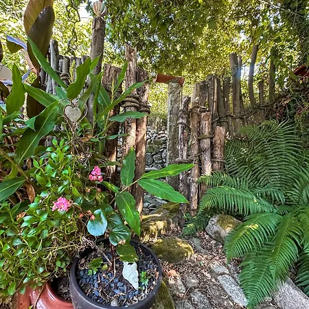 Pilgrims Rest - Nova De Cerveira - - - Al Hostel Vila Nova de Cerveira