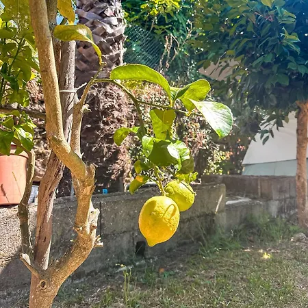 Pilgrims Rest - Nova De Cerveira - - - Al Hostel *