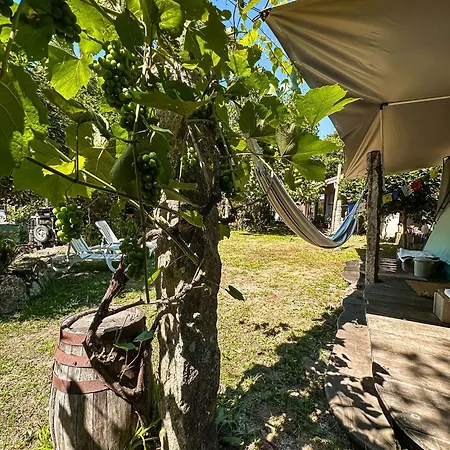 Hostel Pilgrims Rest - Nova De Cerveira - - - Al *