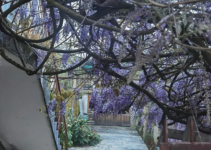 Pilgrims Rest - Nova De Cerveira - - - Al 旅馆 *