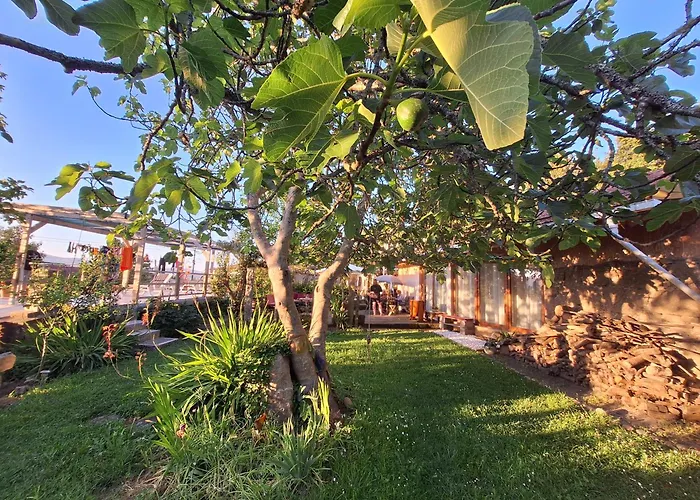 Pilgrims Rest - Nova De Cerveira - - - Al Hostel Vila Nova de Cerveira