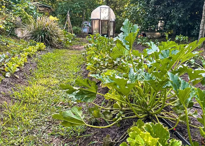 Pilgrims Rest - Nova De Cerveira - - - Al *