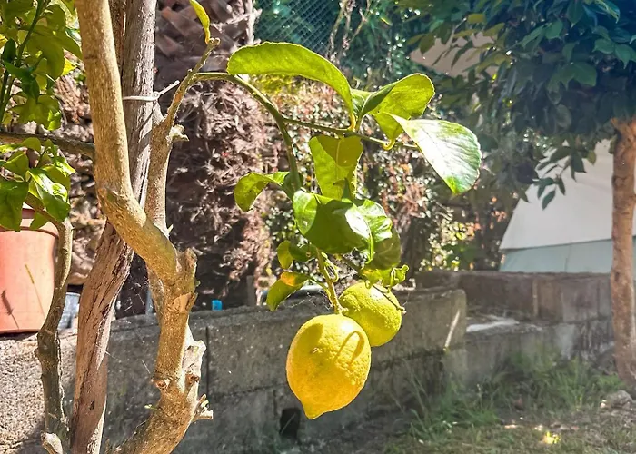 Pilgrims Rest - Nova De Cerveira - - - Al Hostel *